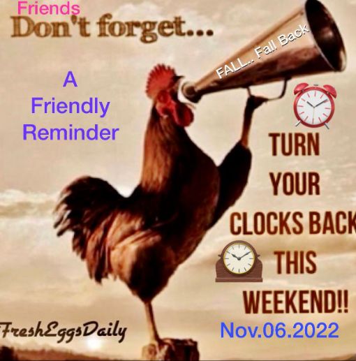 2022-11-05 Turn Back the Clocks